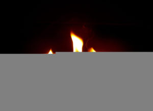 Citronella Scented Soy Candles