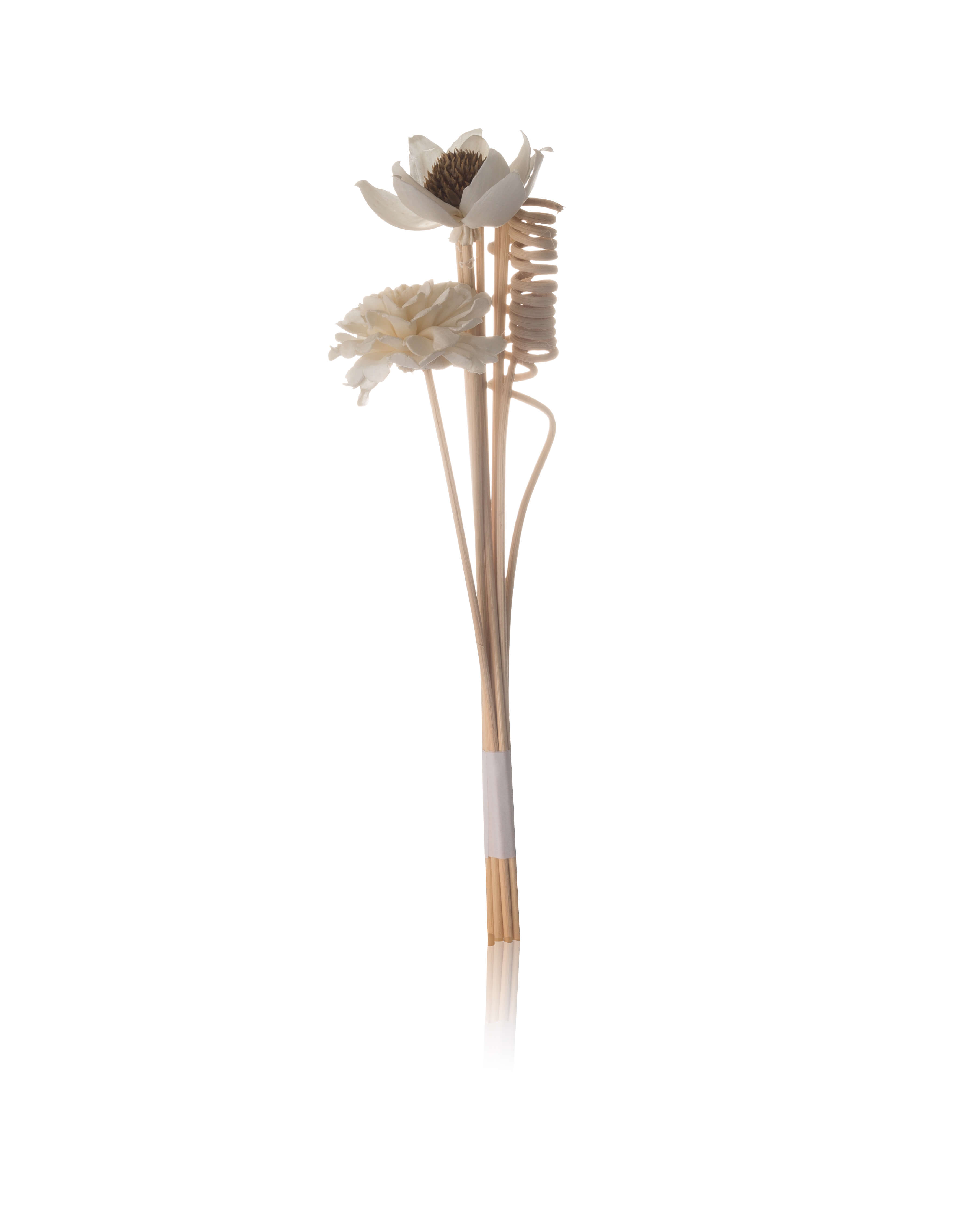 Diffuser Reed Sticks - Natural